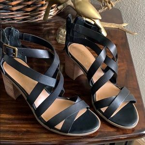 L-Hachi, Black LE- Franco Sarto